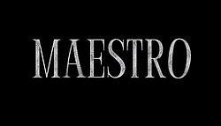 美涛（Maestro） logo